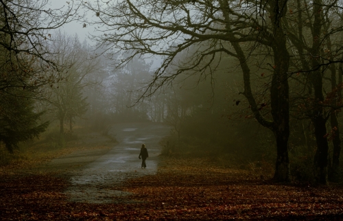 ADP_2211-Enhanced-NR