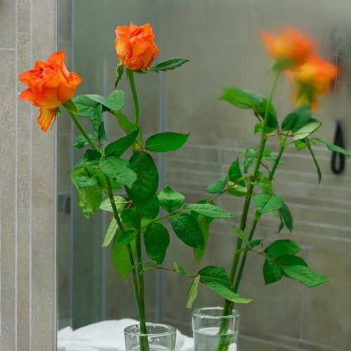 metheksis-boutique-hotel-10 (1)